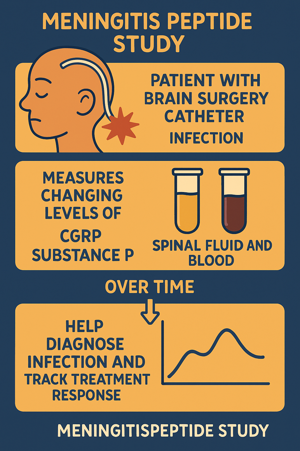 Meningitis: Studying Peptides to Improve Diagnosis and Treatment